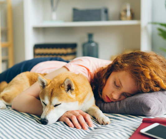 The Science of Napping: Do the British Need More Rest?